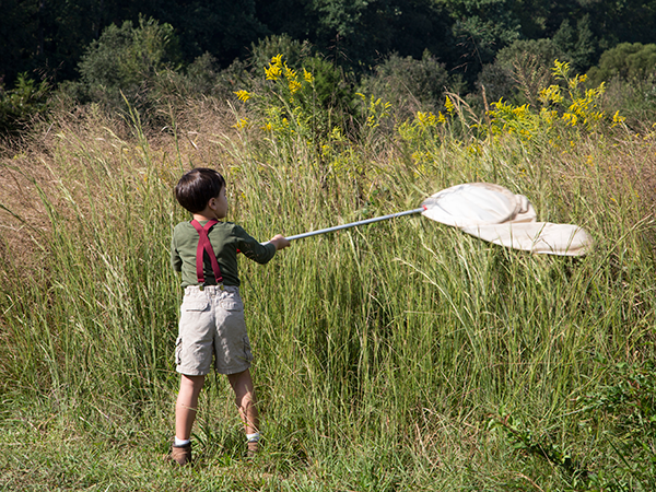 Take a Child Outside Week