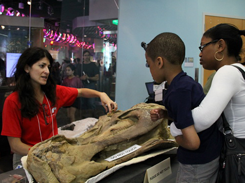 Paleontology Research Lab